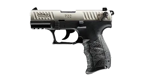 P22 3.42" Nickel 10RD 22LR 0